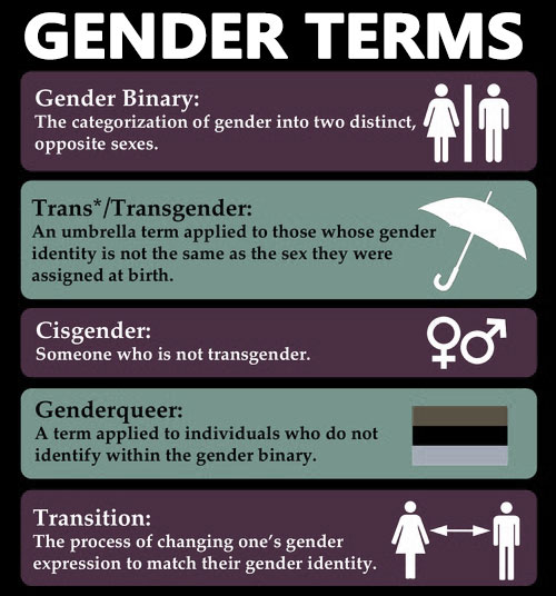 gender reassignment dictionary definition